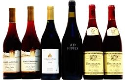 Els cursos de cuina rebran el maridatge dels vins NOE. FOTO: Cedida. 