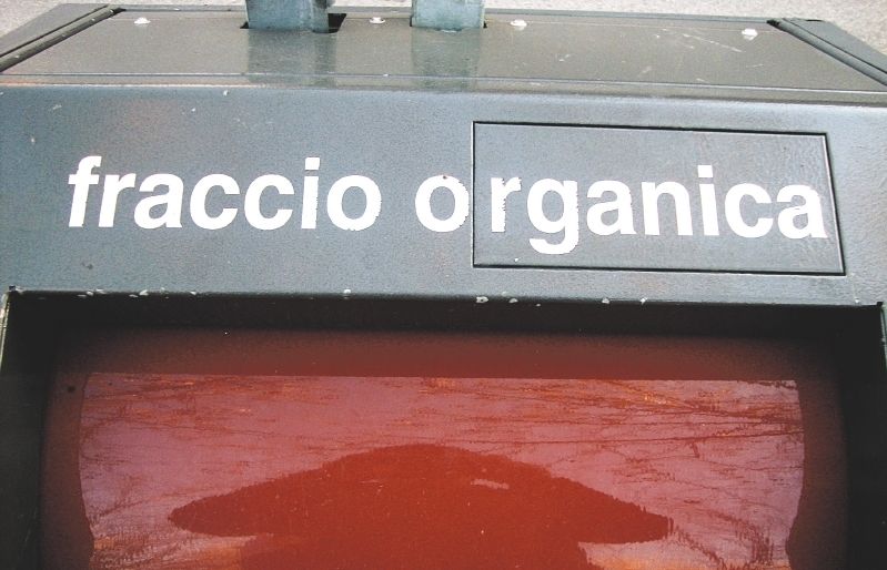 Pels carrers es poden trobar errors en les paraules. FOTO: Daniel Romaní