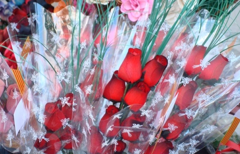 L'associació Amics Villa Caoba destinarà els diners de les roses a l'escolarització de 120 nens. FOTO: Cinta Caballé 