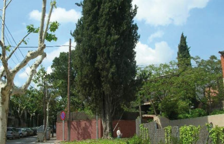 FOTO: Jordi Roca i Josep Castellví