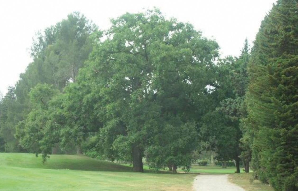FOTO: Jordi Roca i Josep Castellví