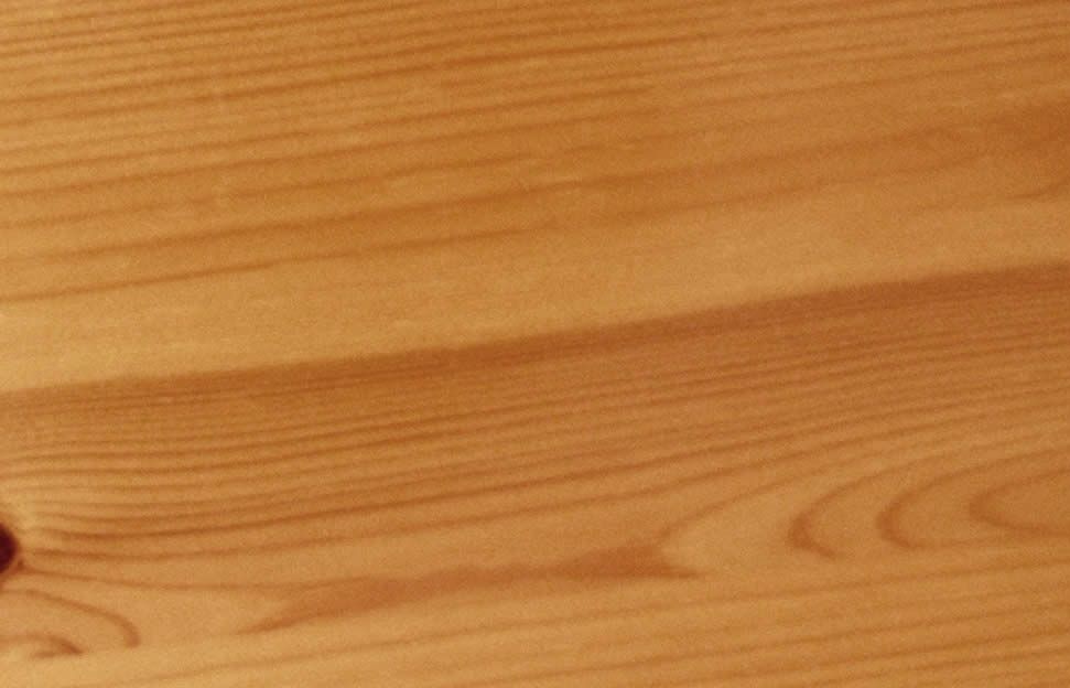 Cal tenir en compte que hi ha pins de diferents classes, que proporcionaran diferents fustes. FOTO: Cedida