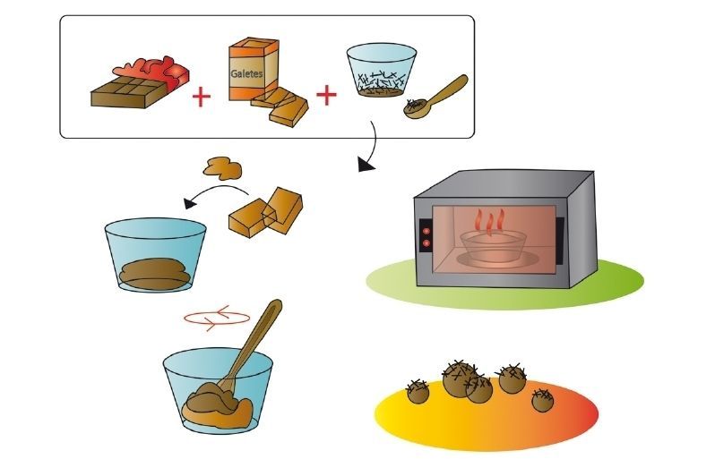 Il·lustracions: Laia Netto, alumne de l'Escola d'Art i Disseny de Sant Cugat 