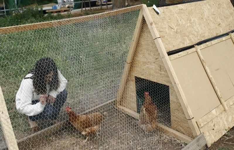 El corral i l'hort de la casa ajuden a disminuir la despesa en productes. FOTO: Esther Naval