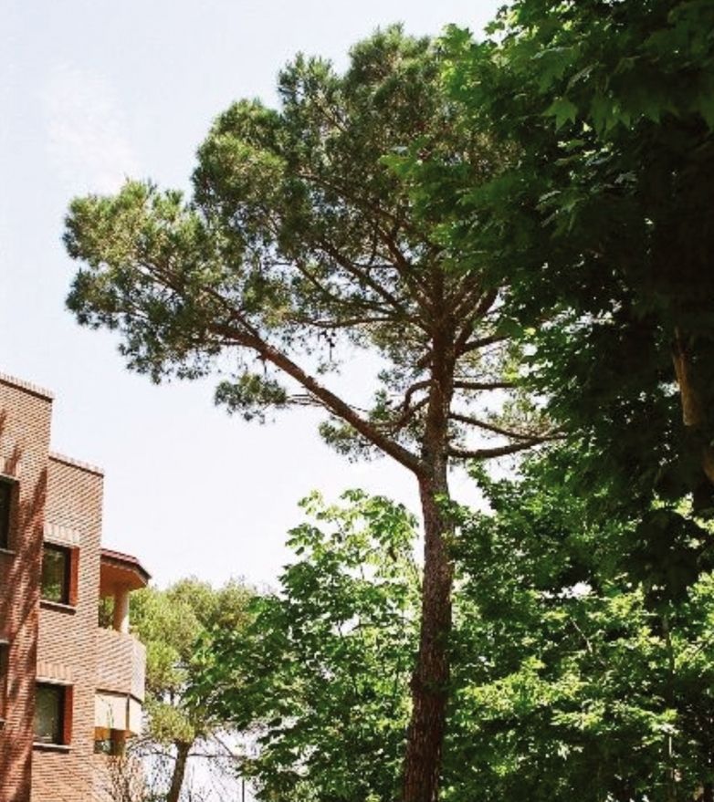 FOTO: Jordi Roca i Josep Castellví