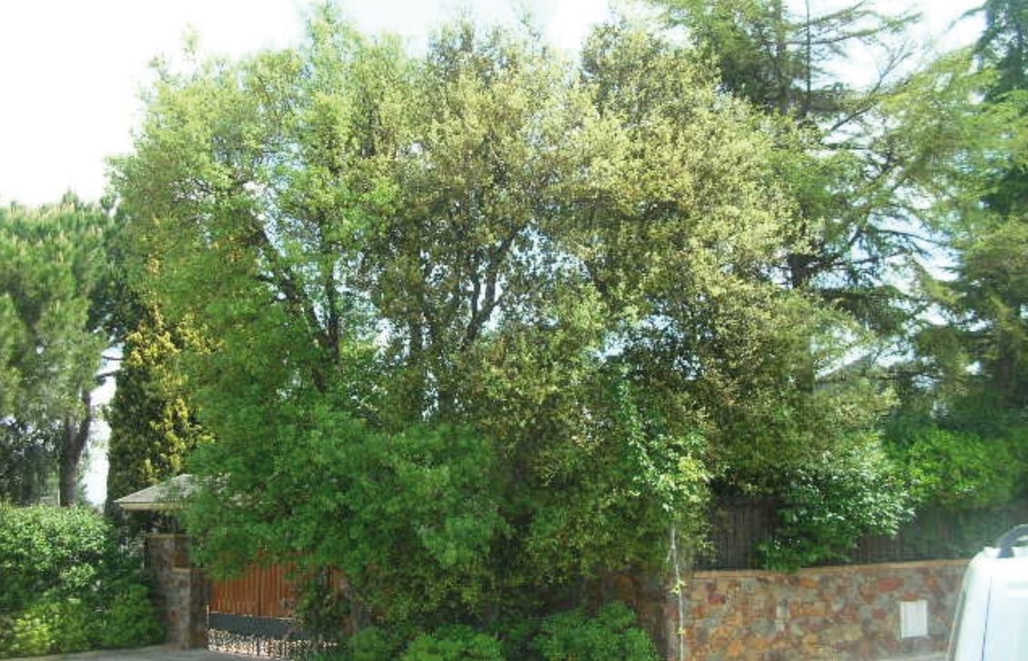 FOTO: Jordi Roca i Josep Castellví