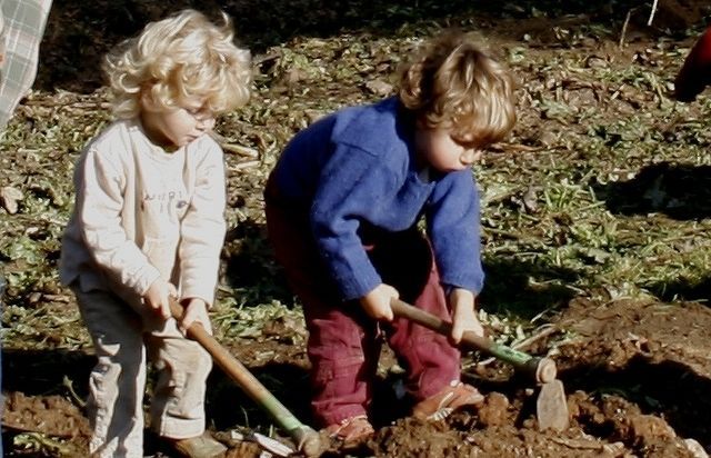 Una plantada d'arbres a Sant Cugat FOTO Arxiu