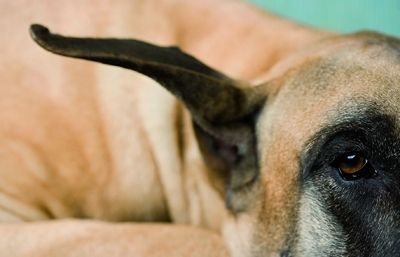 No és convenient saltar-nos aquest temps i buscar un substitut