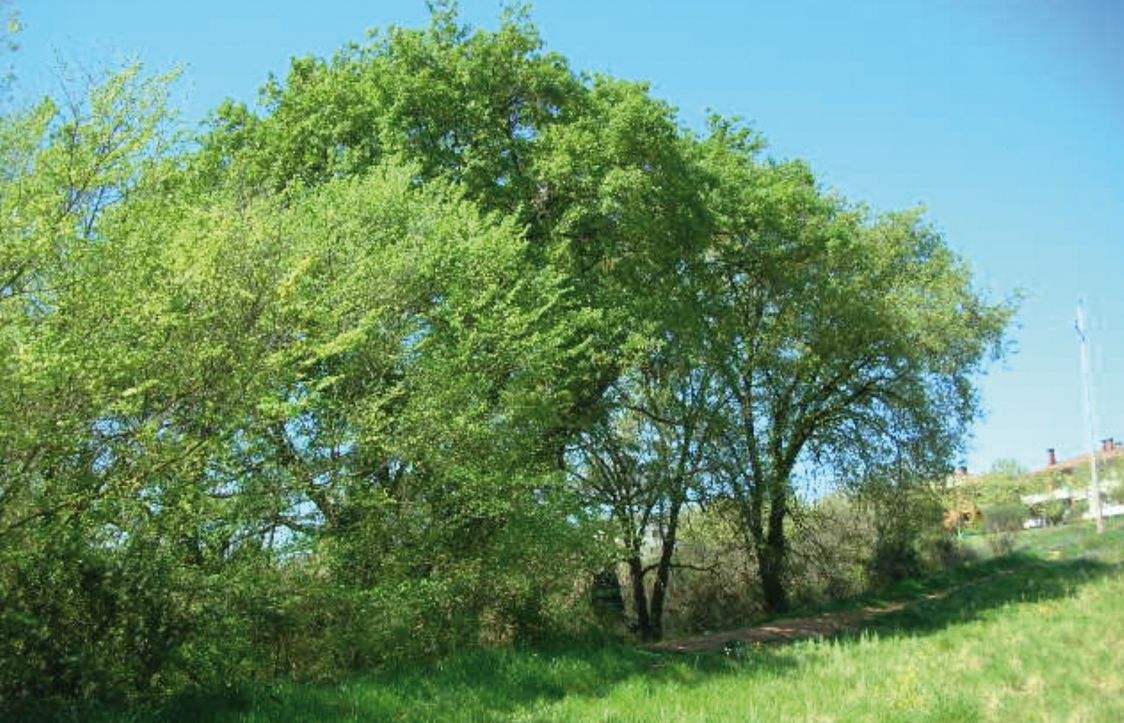 FOTO: Jordi Roca i Josep Castellví