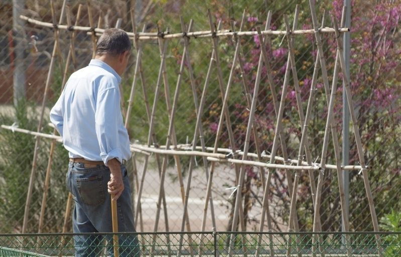 Els horts de Can Mates per la gent gran FOTO: Artur Ribera