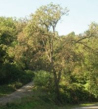 FOTO: Jordi Roca i Josep Castellví