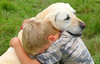 La fundació Bocalán ja ha encetat un nou programa per posar gossos ensinistrats, per  als diabètics espanyols 