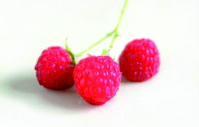 Els gerds són una fruita que es fa malbé de seguida