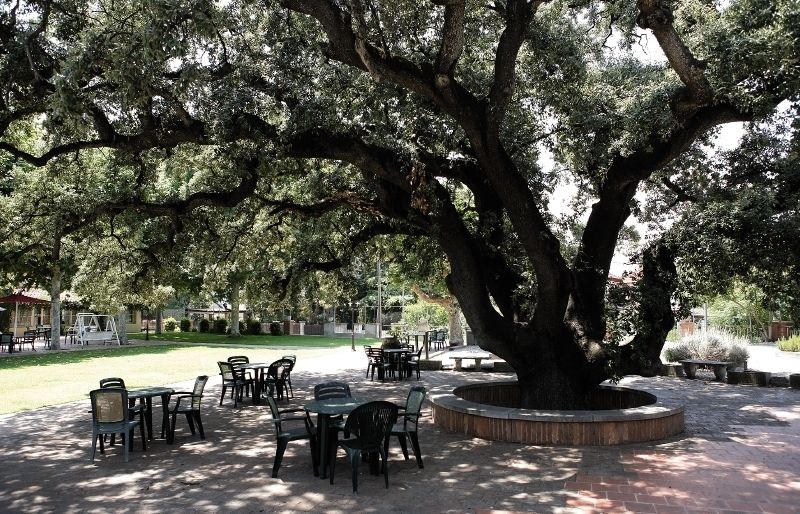 L'hotel Vila Valldoreix, amb 17 anys d'experiència en el sector de la gent gran