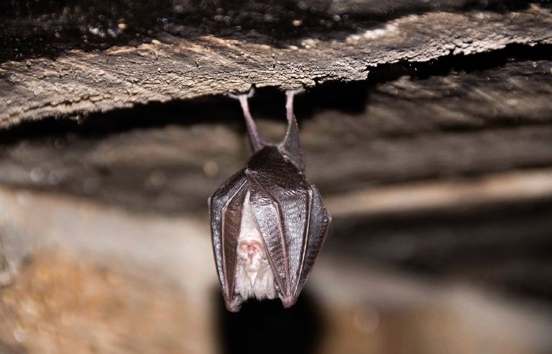 A partir de dos quarts de set de la tarda senceta el programa dactivitats 