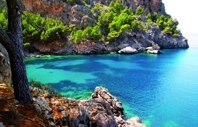 Shavia de preparar el carro el dia abans perquè marxàvem ben dhora al matí 
