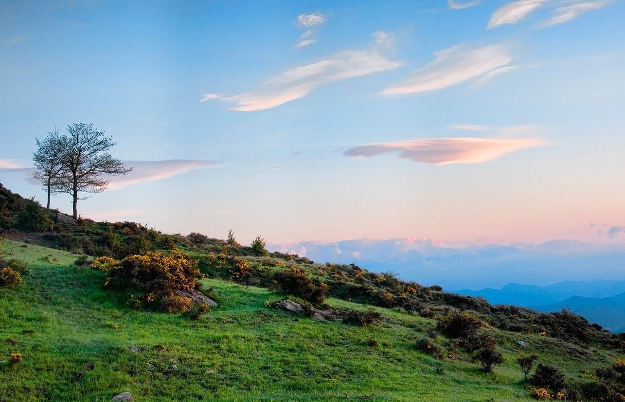 Rosa Marcet ens aconsella passar les vacances al Cabrerès (Osona). FOTO: Jordi Amela