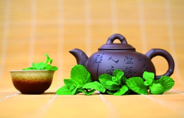 El poliol és una planta que creix de forma natural i té moltes qualitats curatives