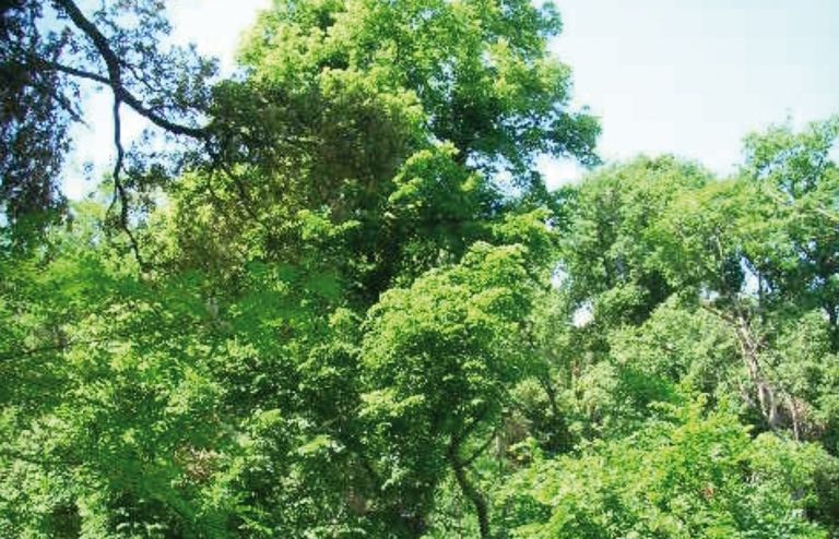 FOTO: Jordi Roca i Josep Castellví