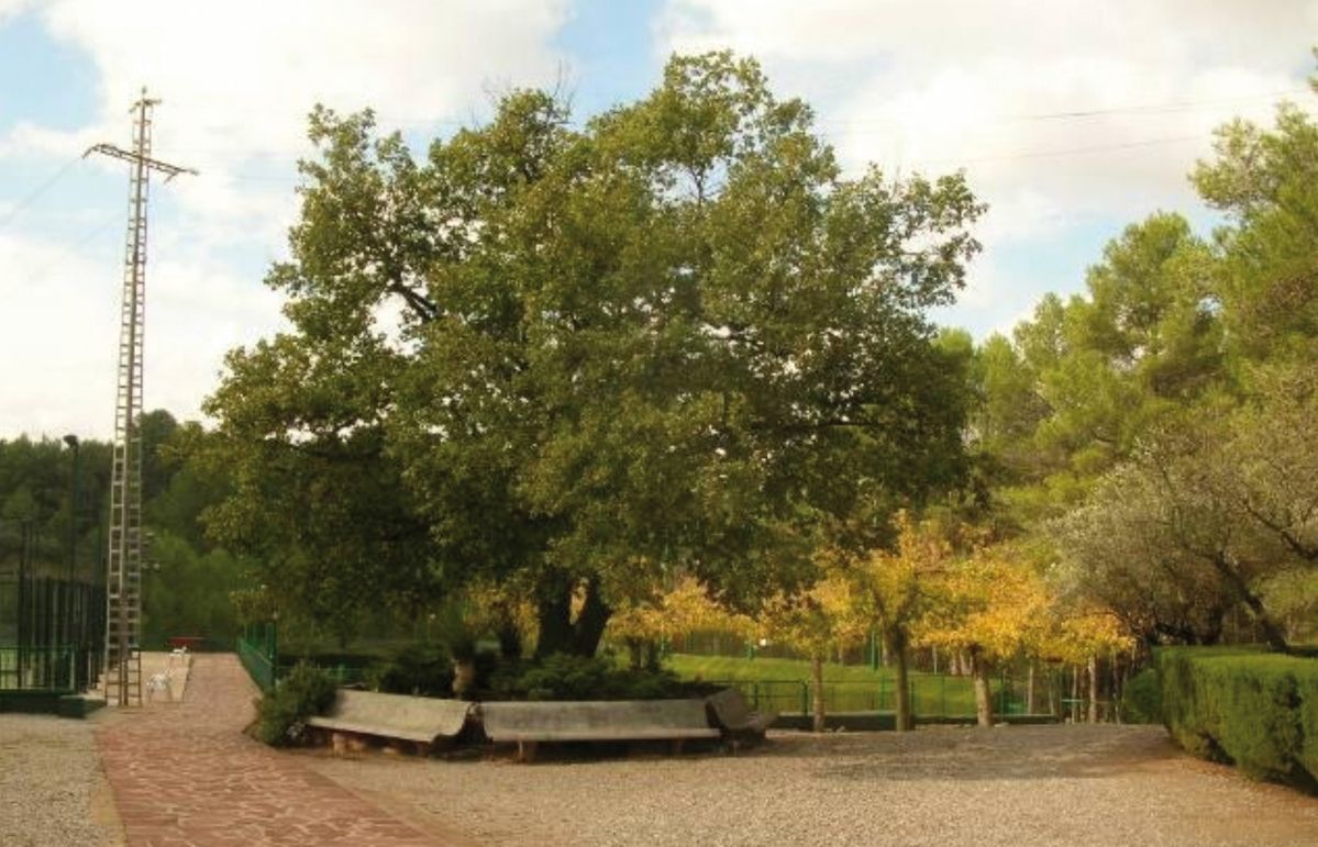 FOTO: Jordi Roca i Josep Castellví