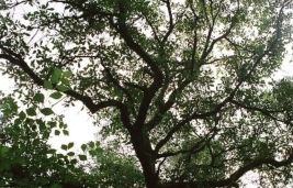 FOTO: Jordi Roca i Josep Castellví