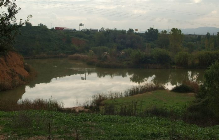 L'Estany dels Alous situat a la frontera amb Rubí FOTO: Arxiu