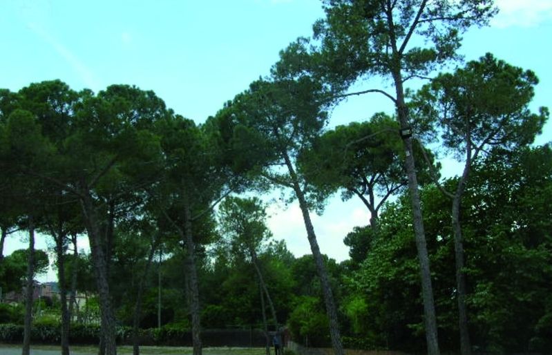 FOTO: Jordi Roca i Josep Castellví