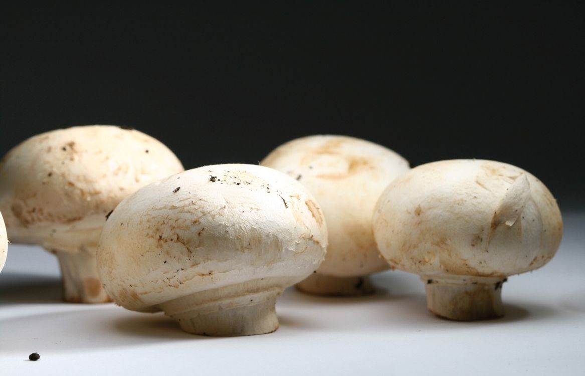 Aquesta recepta us servirà per acompanyar entrants