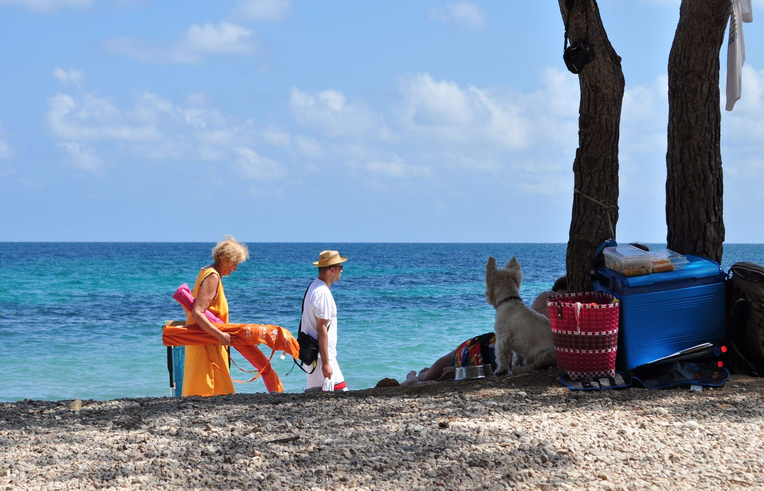 'Ahir vaig anar a la platja'