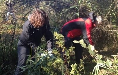 Conesa i Martorell en plena tasca de manteniment. FOTO: Àgata Guinó