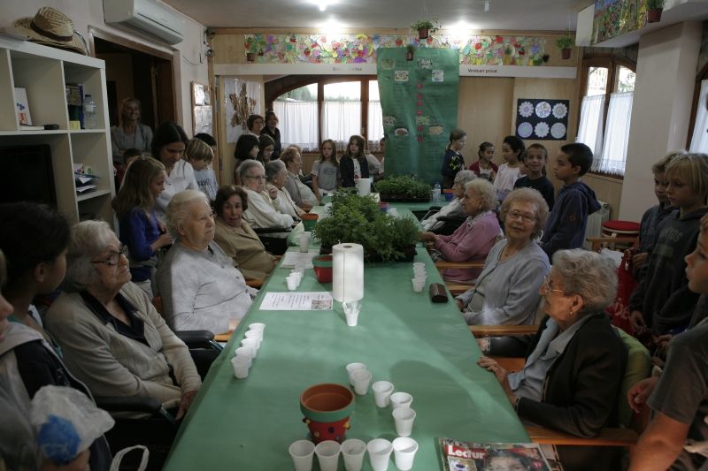 Activitats entretingudes