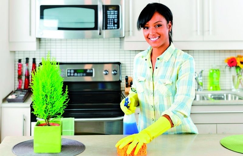 A Clean&Iron disposaràs dun servei professional de primer nivell