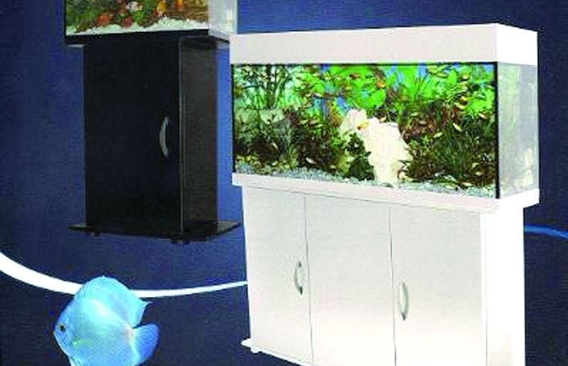 Vine a veure la varietat de productes d'Aqua World