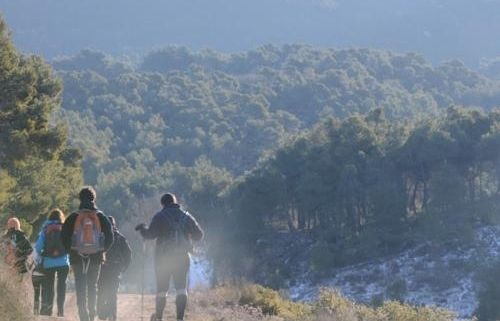 Una de les activitats de l'empresa
