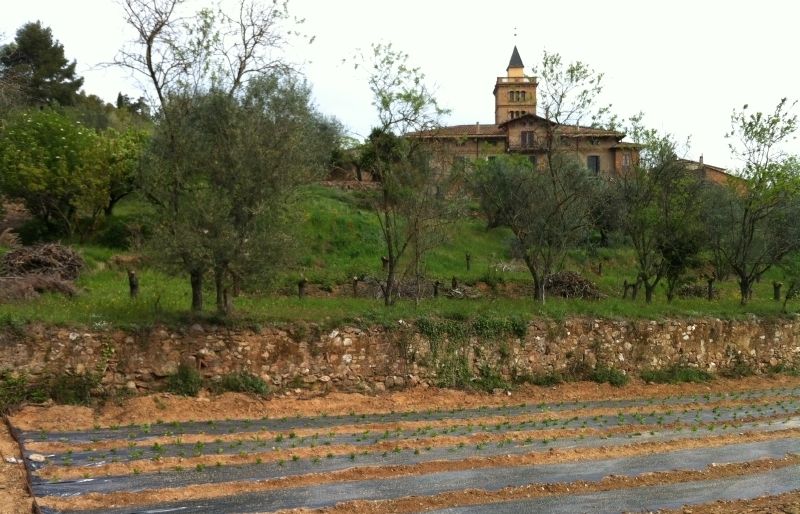 Masia de Can Monmany. FOTO: Artur Ribera