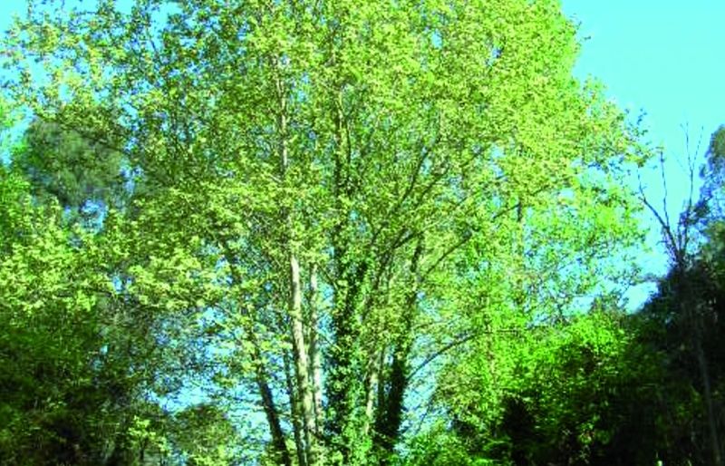 FOTO: Jordi Roca i Josep Castellví