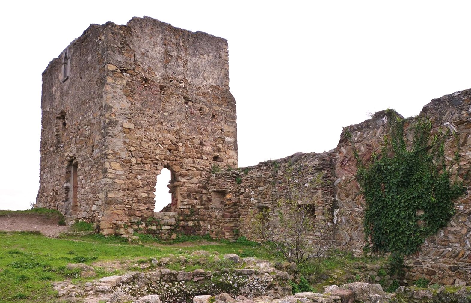 Sortida el diumenge 11 de novembre