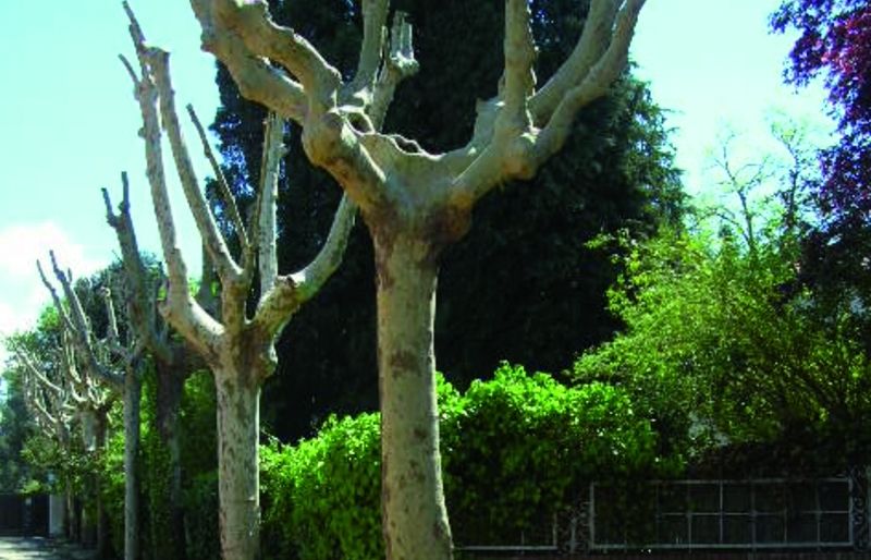 FOTO: Jordi Roca i Josep Castellví