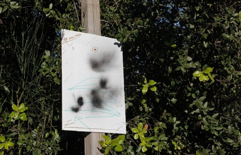 Cartell arrencat del Bosc Literari. FOTO: Albert Bach