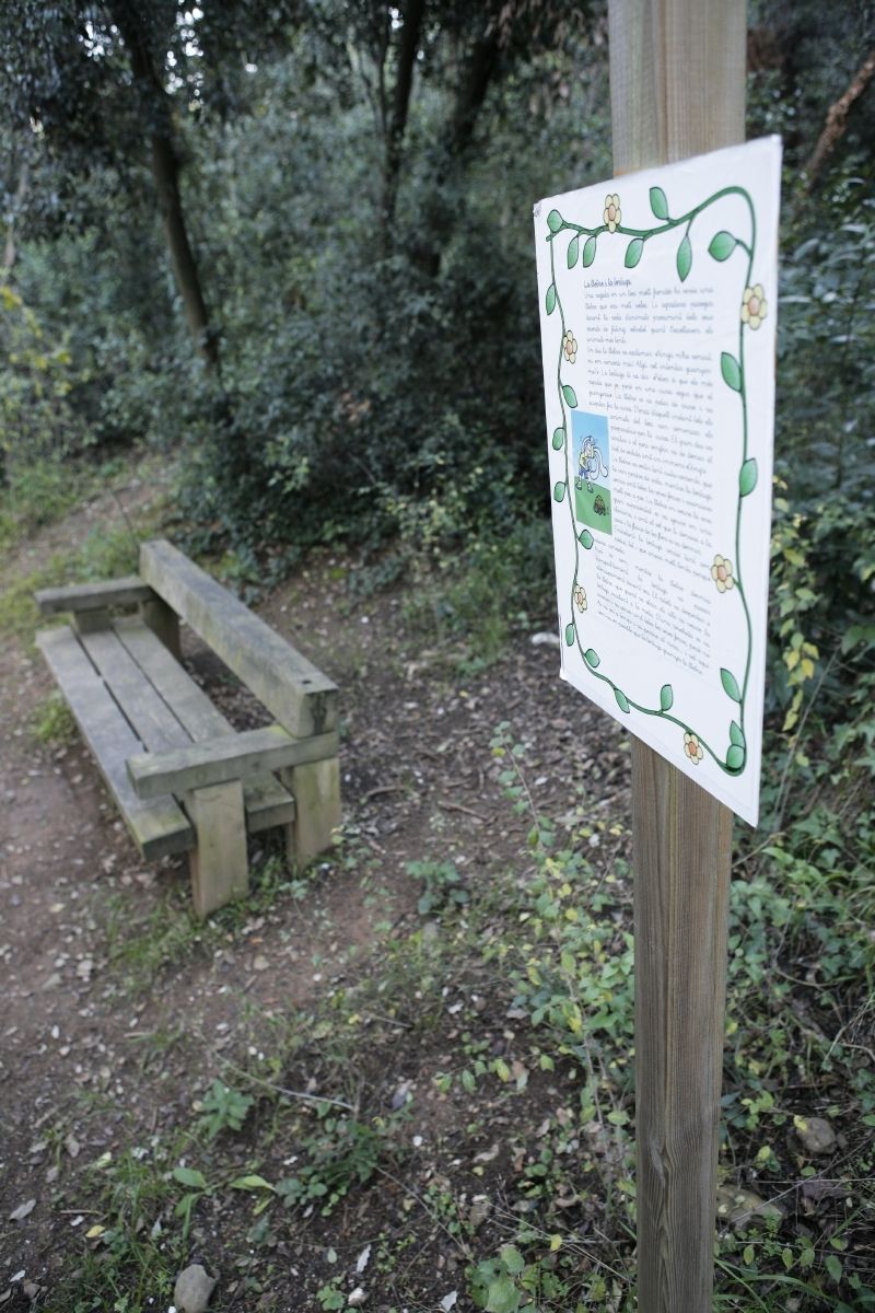 Racó del Bosc Literari. FOTO: Artur Ribera