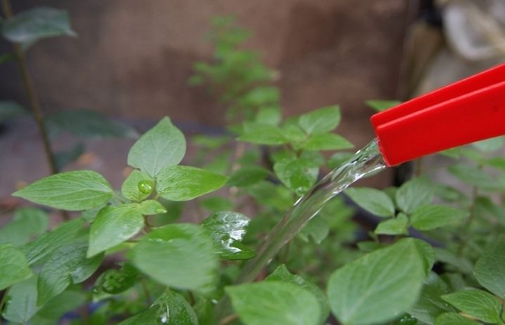 L'aigua serà un 30% més cara el 2013 respecte el 2012 FOTO: Arxiu