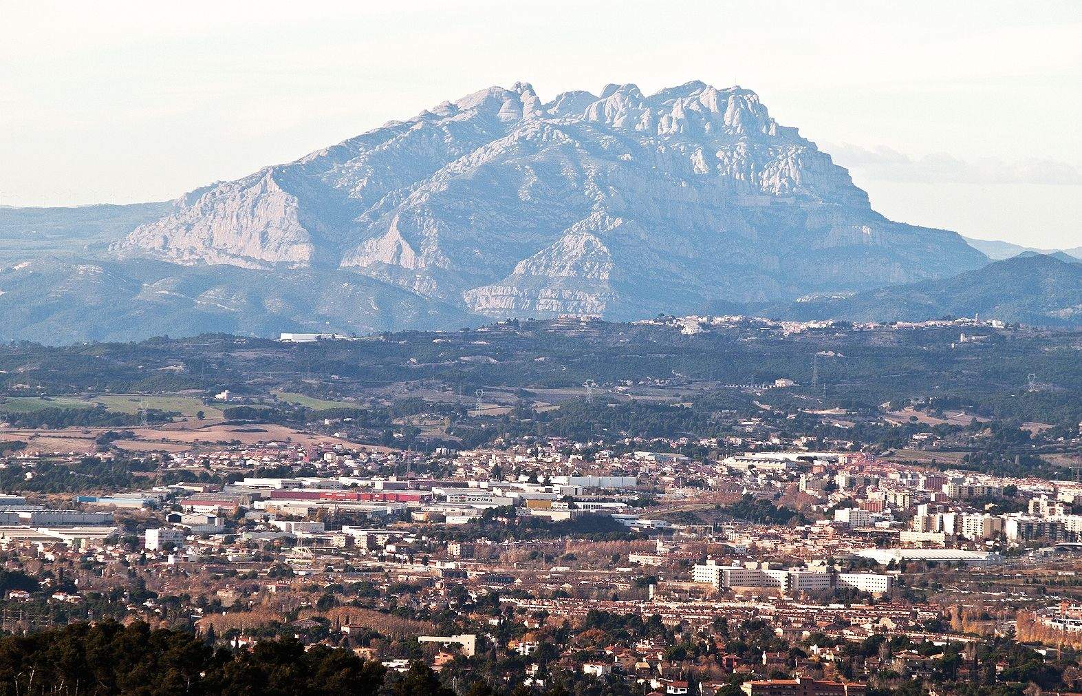 Vistes de Collserola des dun turó de Can Ribes. FOTO: Artur Ribera