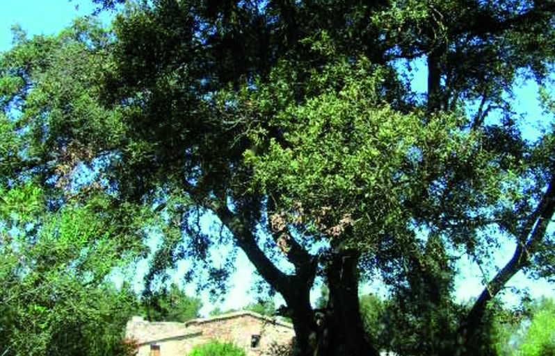 FOTO: Jordi Roca i Josep Castellví