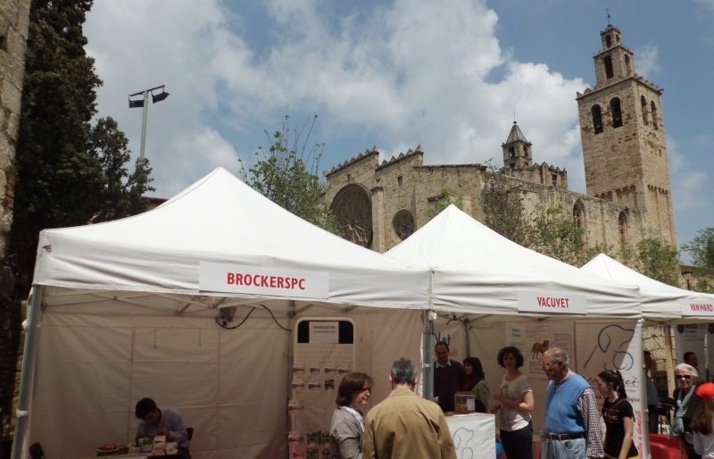 Aquest any tornarà haver-hi la Mostra Sant Cugat Actiu FOTO: JR Armadàs 