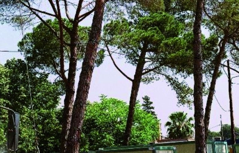 FOTO: Jordi Roca i Josep Castellví