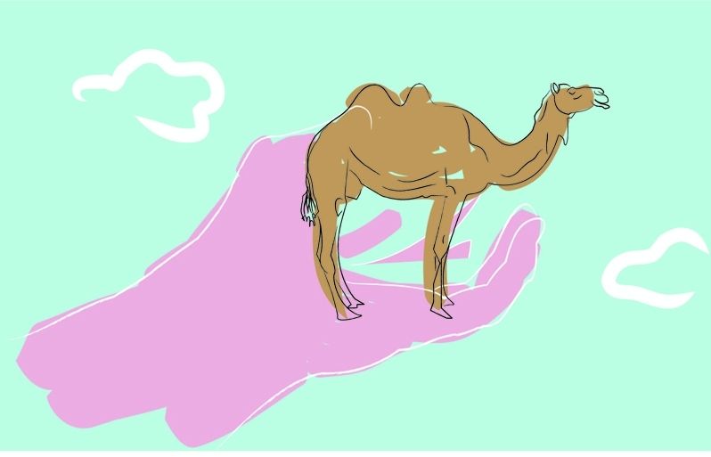 Il·lustració: Ingrid Xandri, alumna de lEscola dArt i Disseny de Sant Cugat