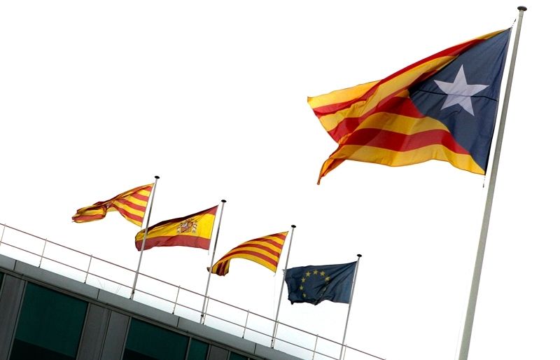 L'estelada davant l'Ajuntament FOTO: Artur Ribera
