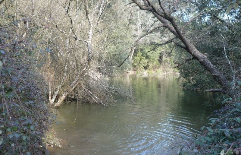 El pantà tindrà un accés més facil abans d'acabar l'any FOTO: Arxiu