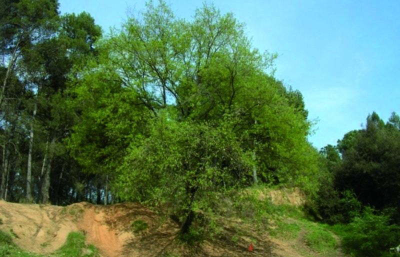 FOTO: Jordi Roca i Josep Castellví