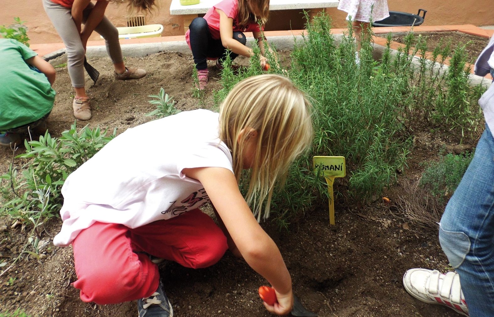 El grup ESLV treballen amb nens de 0 fins a 18 anys